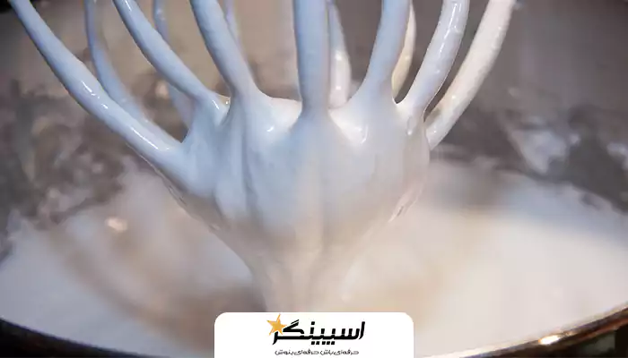 مخلوط کن غذا