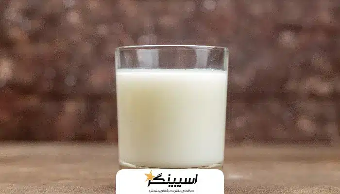 خواص و مضرات شیر شتر چیست